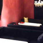 女子会でおいしい肉料理を食べるならBelBへどうぞ